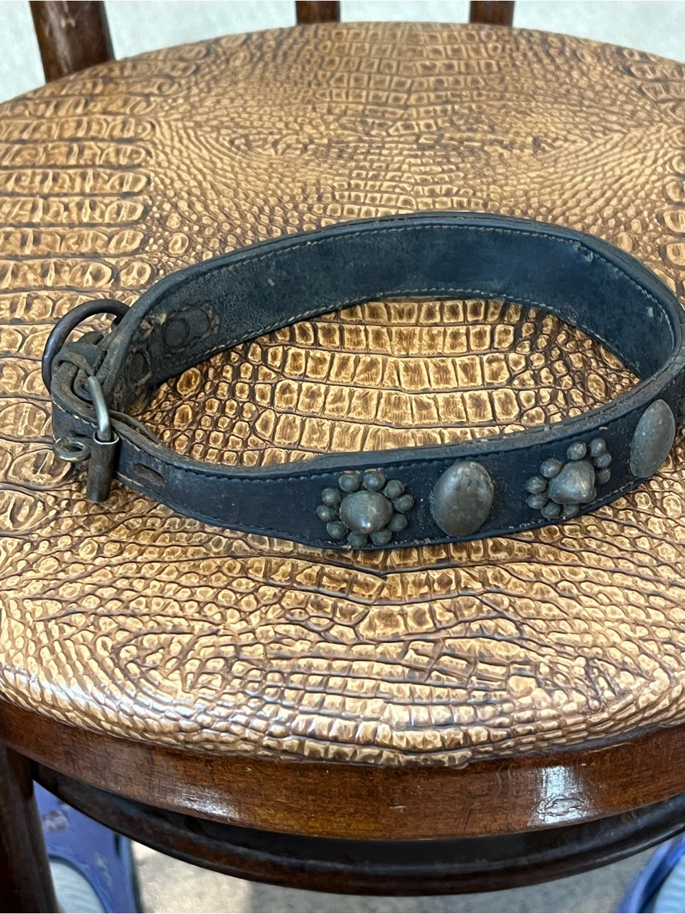 Vintage 18-19th Century Leather Dog collar with Brass Studs and Pawprint Conchos